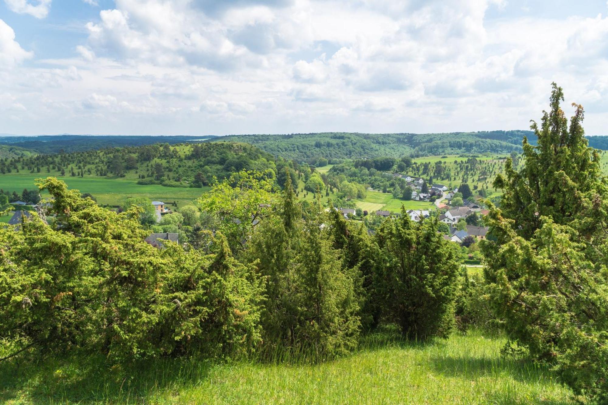 Holzhaus Onkel Fritz Mit Sauna Und Whirlwanne Esch  Exterior foto