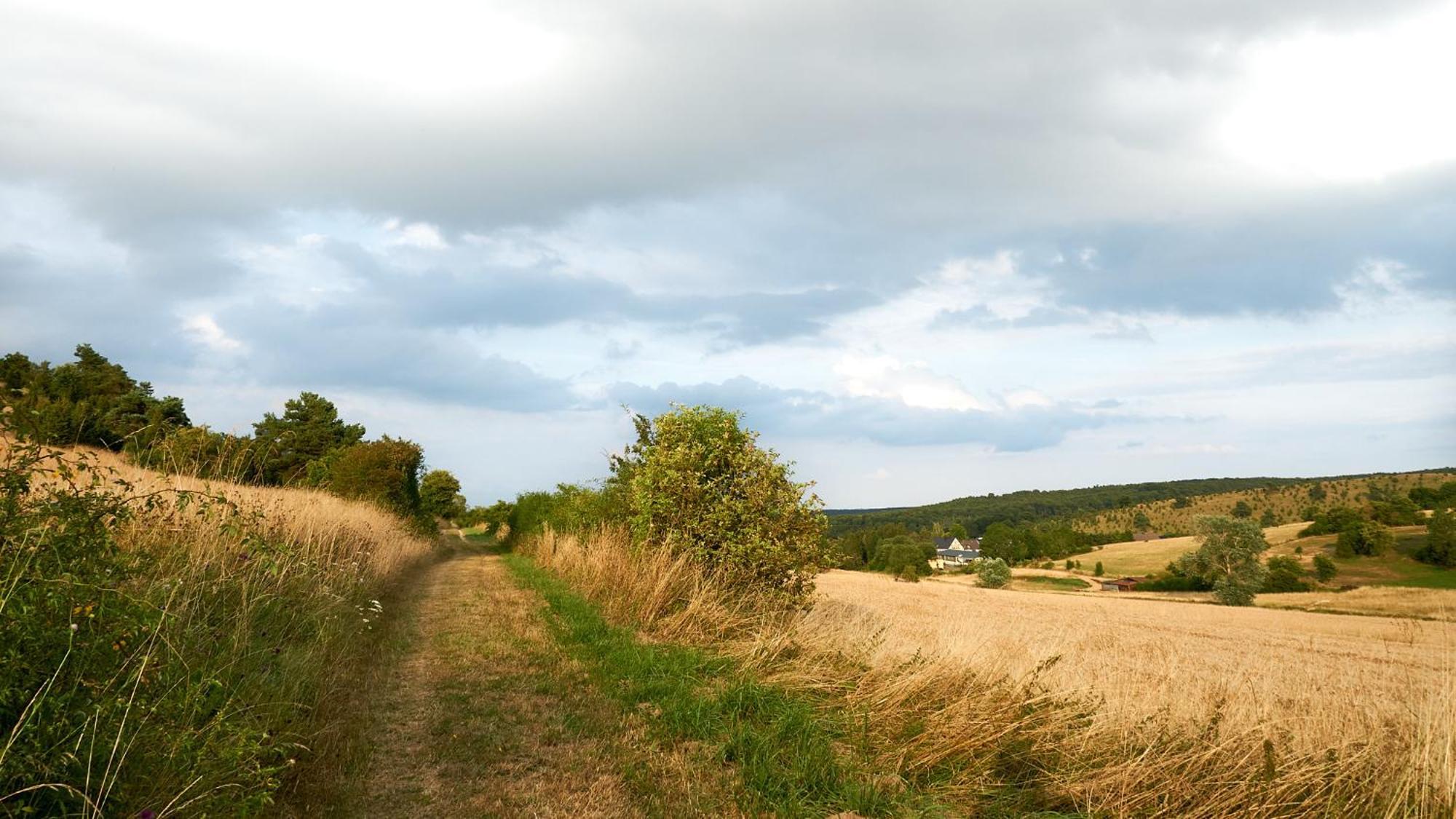 Holzhaus Onkel Fritz Mit Sauna Und Whirlwanne Esch  Exterior foto